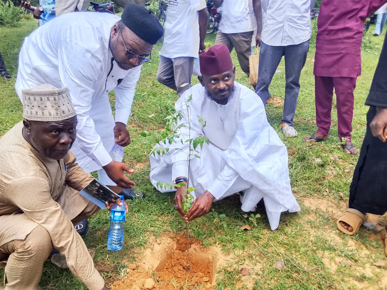 ABU Zaria Distributes 3,000 Seedlings to Boost Tree Planting Drive